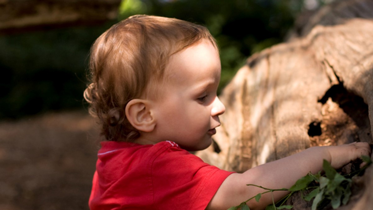 A small child investigates a log laying on a forest floor.