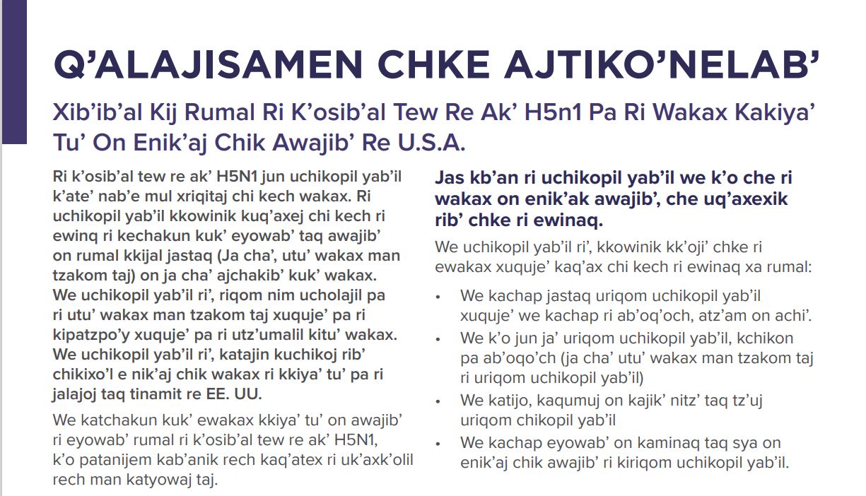 kiche