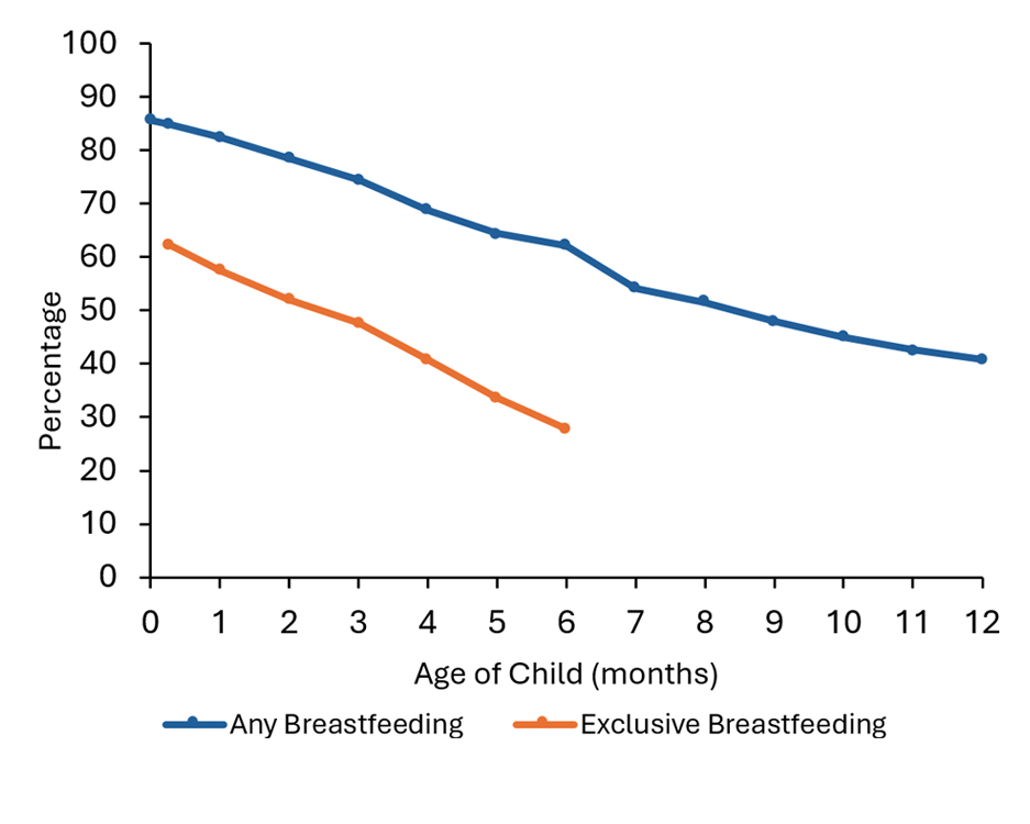 Data visualization of the rates of any exclusive breastfeeding by age among children in 2022.