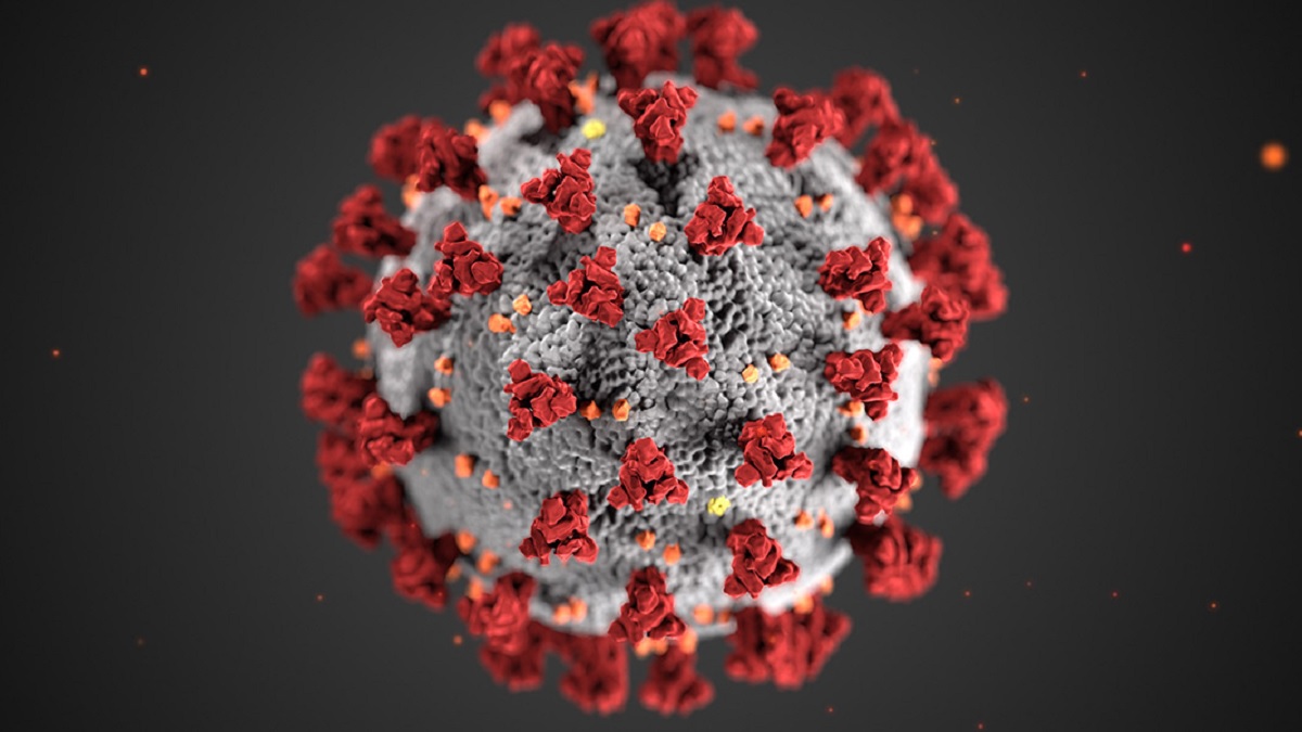 Enlarged microscopic coronavirus
