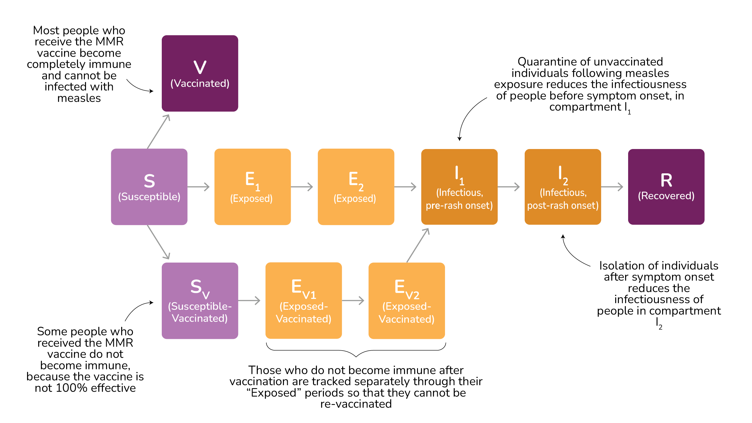 Annotated diagram of the compartmental model underlying the outbreak simulator.