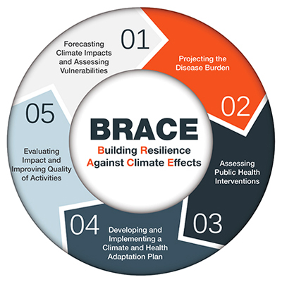 BRACEinfographic400w.jpg A circle with the 5 steps of the BRACE framework on it. Inside the circle is the acronym BRACE and what each letter represents.