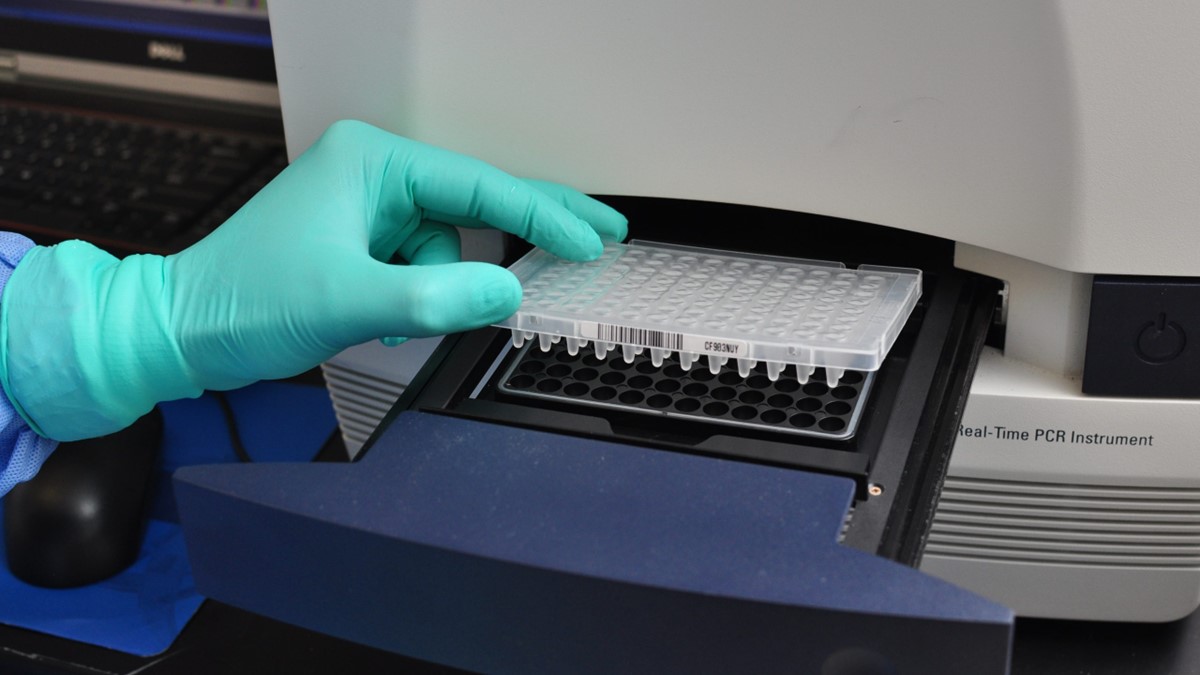 Lab technician loading a test tray into a real time PCR machine.