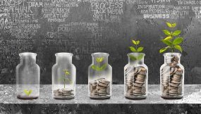 DSMES toolkit_Sustainability Five jars with change in each from very little money with a seedling to a full jar with a full-grown plant.