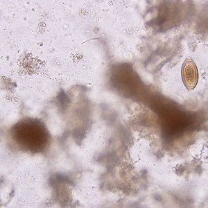 Case221_A.jpg