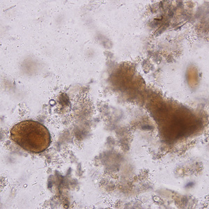 Case221_B.jpg