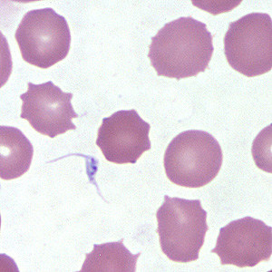 Case254_C.jpg