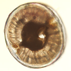 Case417_E.jpg