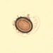 Taenia_egg_wtmt_KS.jpg