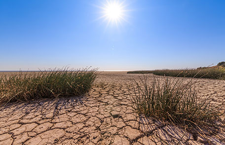 Parched land from drought The sun beats down on parched, cracked soil.