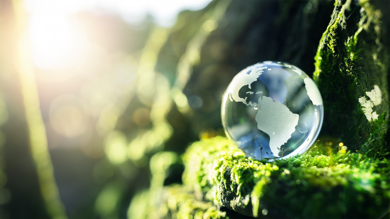 Environmental Health Nexus Environmental Health Nexus