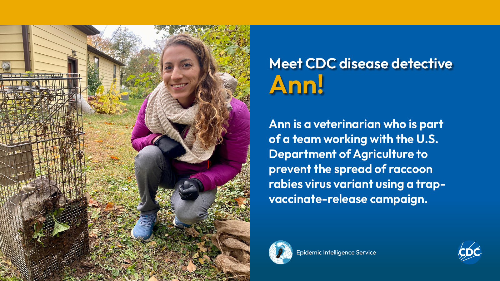 A woman kneeling beside a raccoon in a cage. Text reads: Meet CDC disease detective Ann! Ann is a veterinarian who is part of a team working with the U.S. Department of Agriculture to prevent the spread of raccoon rabies virus variant using a trap-vaccinate-release campaign. Image includes CDC and EIS logos.