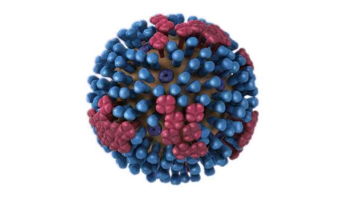 La influenza es una enfermedad respiratoria contagiosa que infecta la nariz, la garganta y, a veces, los pulmones.