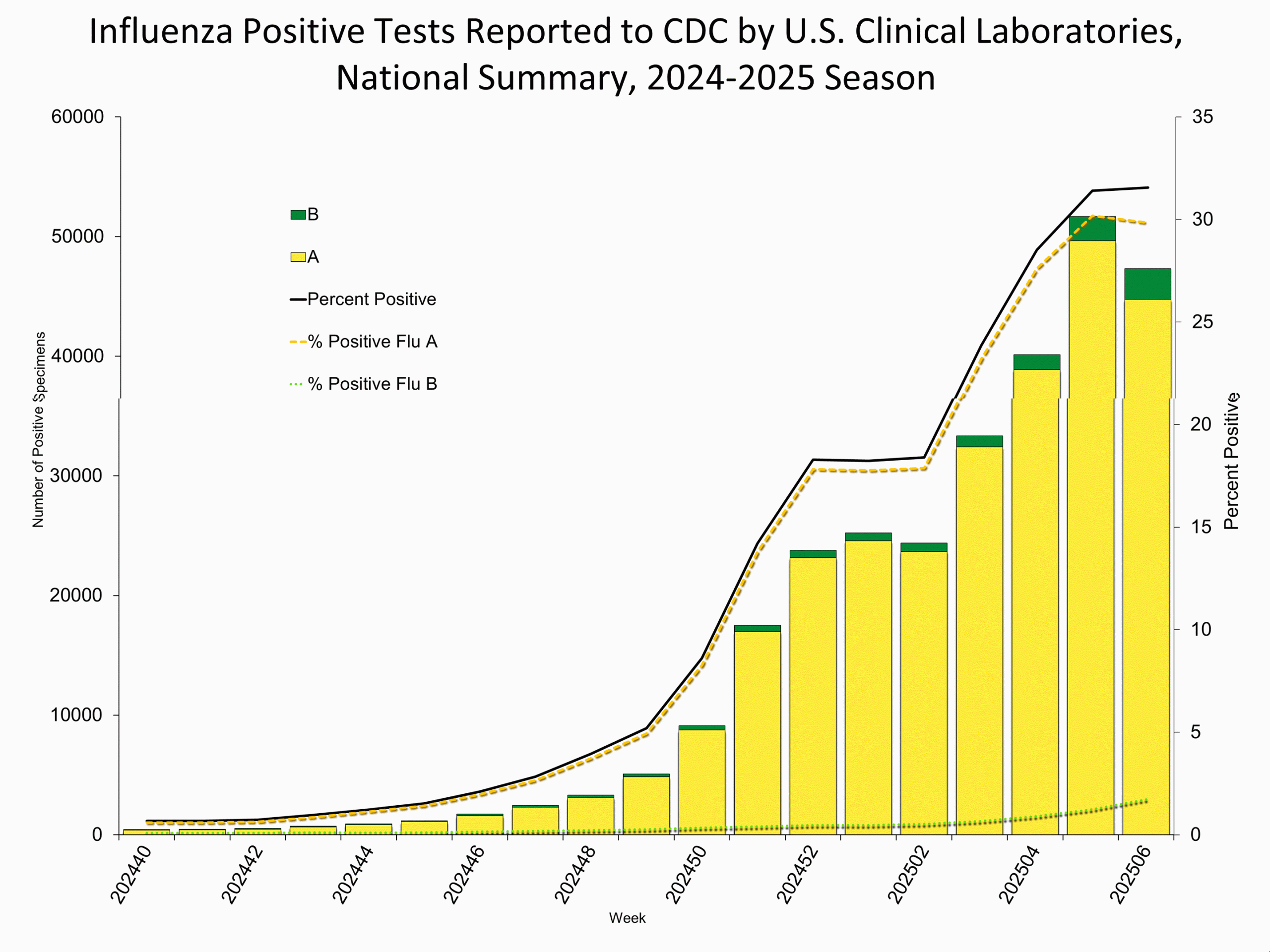 Influenza Positive Tests Reported to CDC by Clinical Laboratories, National Summary, 2024-25 Season, week ending Feb. 8, 2025