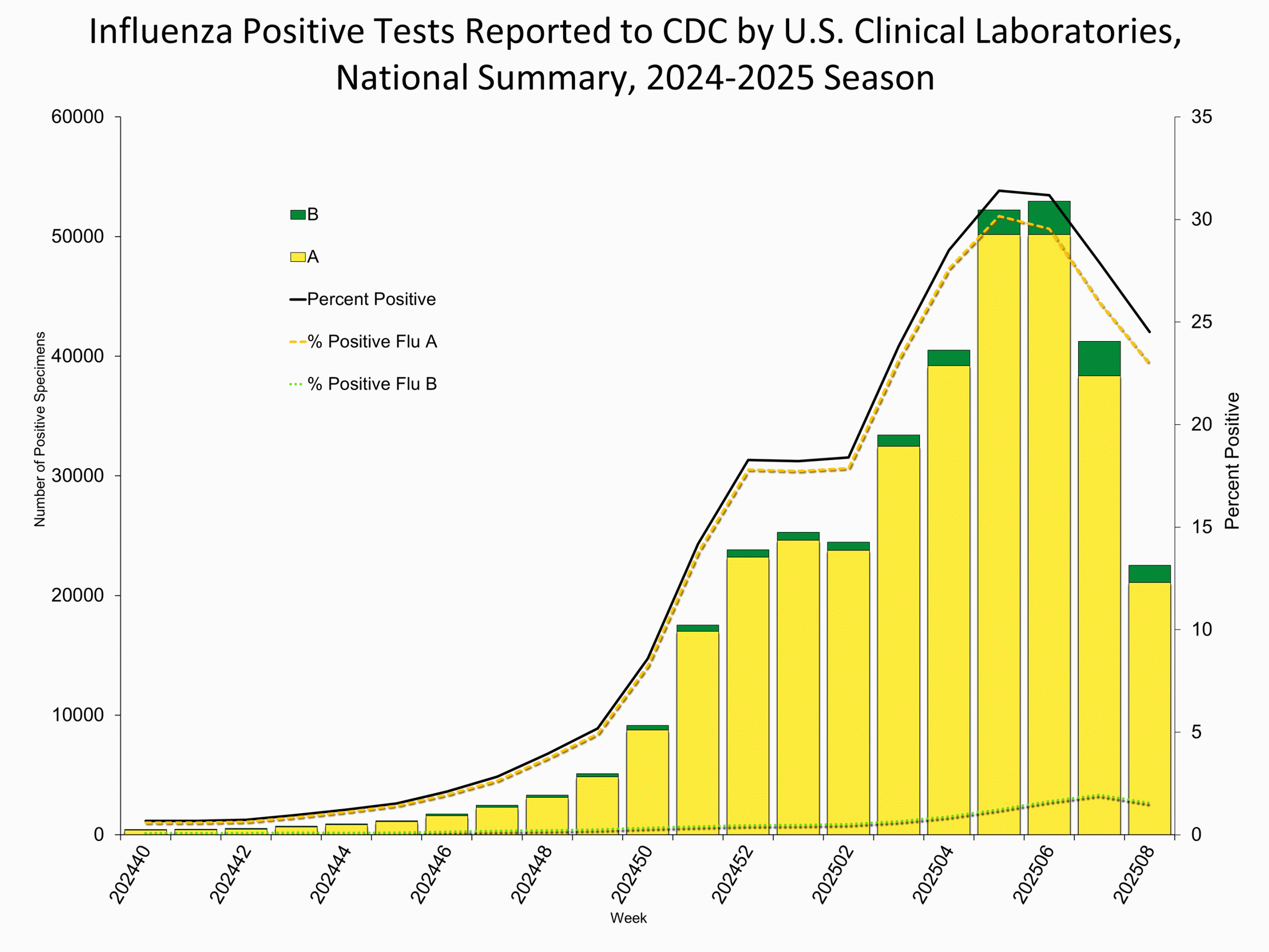 Influenza Positive Tests Reported to CDC by Clinical Laboratories, National Summary, 2024-25 Season, week ending Feb. 22, 2025