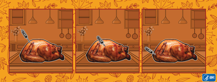 Three side-by-side images of a whole turkey with the food thermometer in the thickest part of the breast; where body and thigh join, aiming toward thigh; and where body and wing join, aiming toward wing.