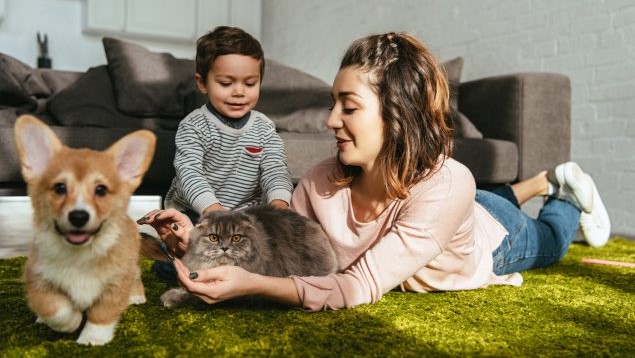 Woman lying on a living room floor holds a cat while a young child pets it. A dog is walking near the cat and people.