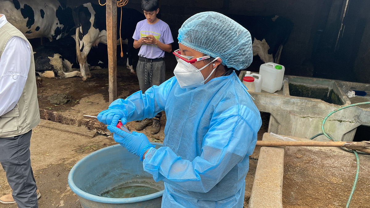 Woman dressed in PPE.
