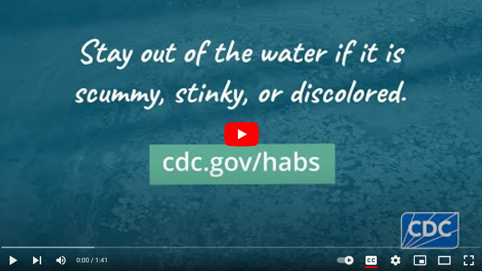 Small image of video. The screen has a play button and says, "Stay out of the water if it is scummy, stinky, or discolored. cdc.gov/habs"
