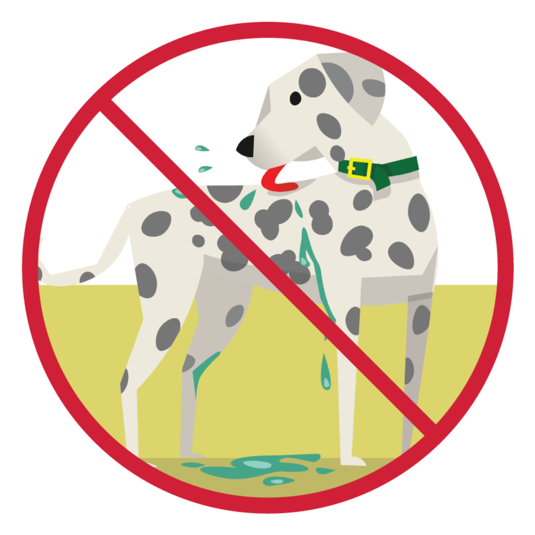 Illustration of a dog licking green water from its fur. A red line through the illustration indicates that your animals should not lick their fur after being in discolored water.