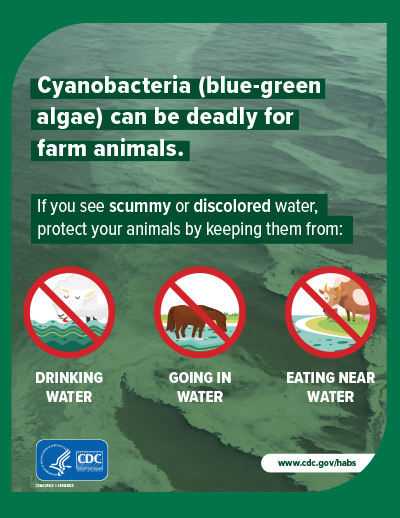 Protecting Farm Animals Poster: English 8.5x11