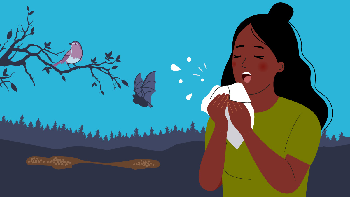 Female sneezing in front of a wooded landscape with a muddy ground and a bird and bat nearby.