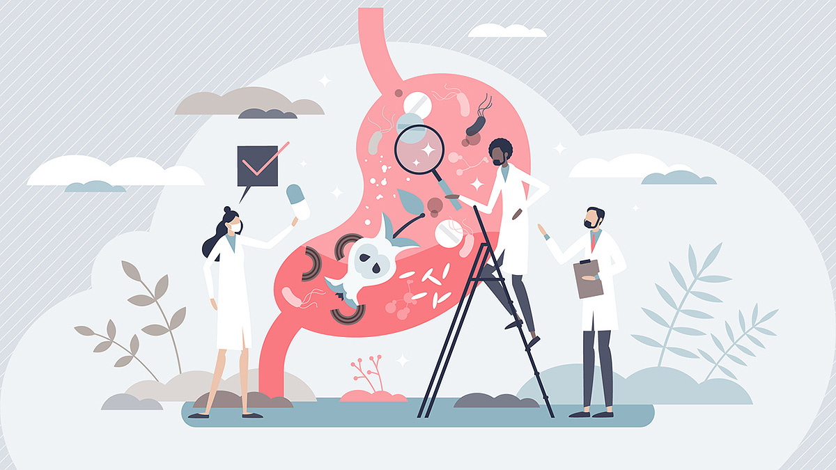 IBD Stomach Illustration Illustration of a giant stomach growing out of the ground with three doctors examining it, one on a ladder.