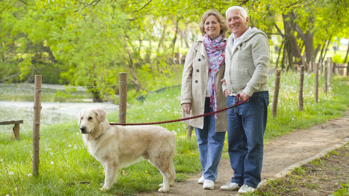Couple With Dog un hombre y una mujer paseando a su perro