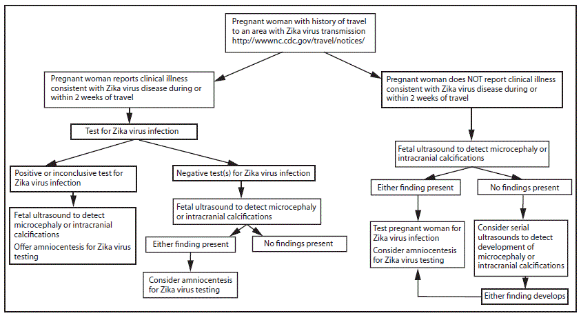 m6502e1f.gif The figure above is a flow chart showing interim guidelines for a testing algorithm for a pregnant woman with history of travel to an area with Zika virus transmission, with or without clinical illness consistent with Zika virus disease.
