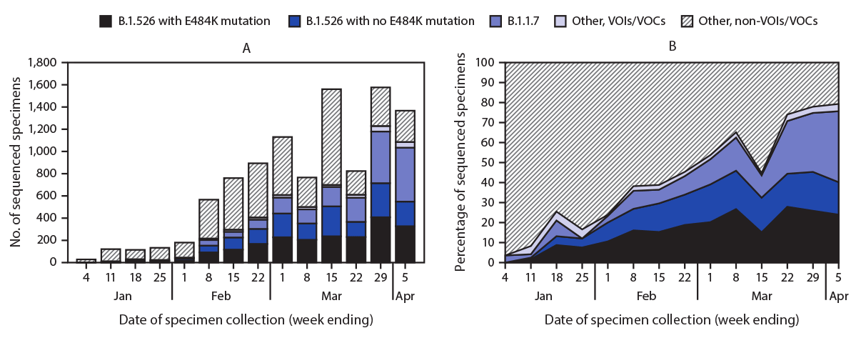 Rapid Emergence and Epidemiologic Characteristics of the SARS-CoV-2 B.1.526 Variant — New York City, New York, January 1–April 5, 2021 This two-part figure includes a bar graph and line graph showing, by week, the total number of specimens undergoing whole genome sequencing in New York City, New York, during January 1–April 5, 2021, and the percentage of specimens with the B.1.1.7 variant, the B1.526 variant with or without the E484K mutation, and other variants of concern.