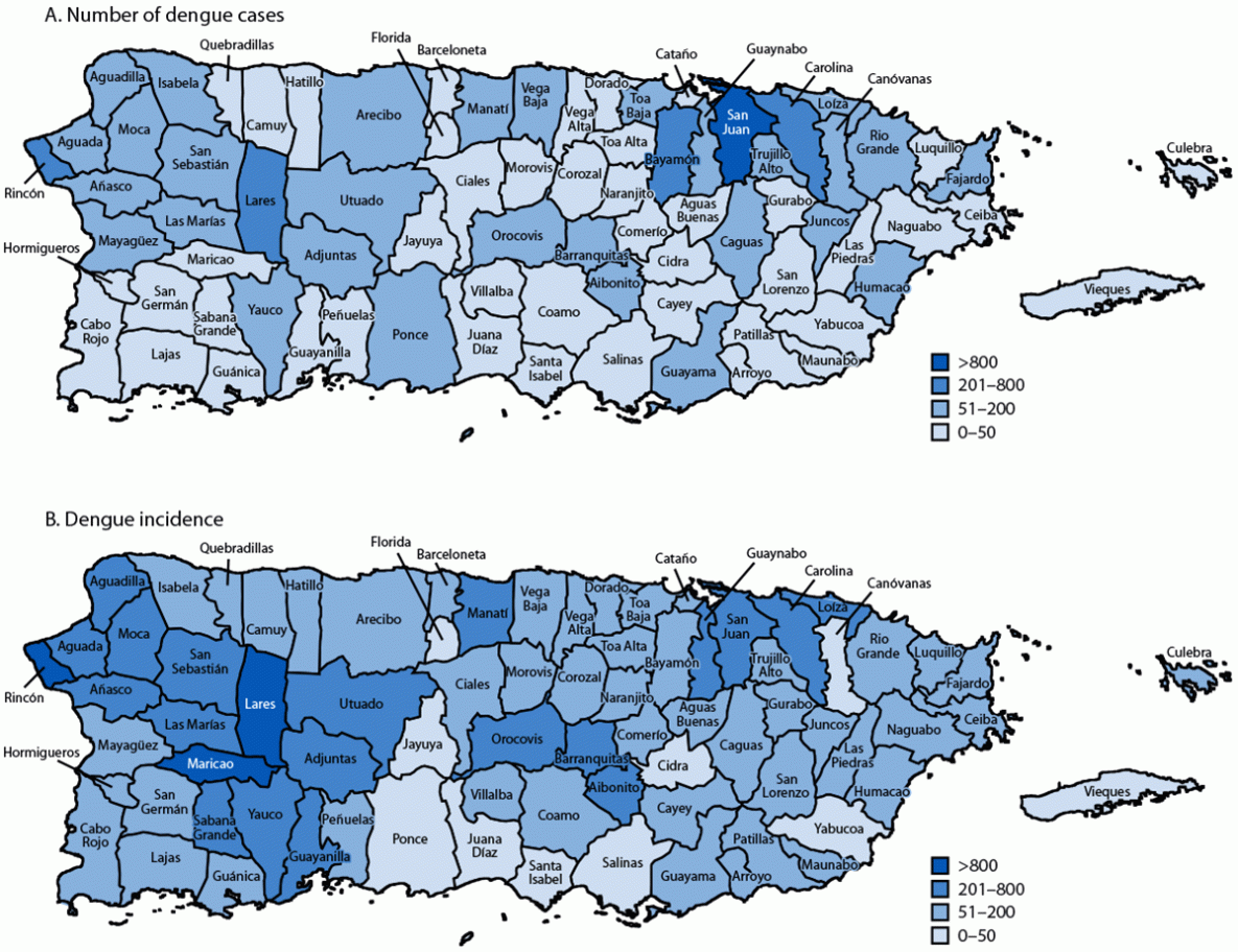 The figure is a series of two maps indicating the number of dengue cases and dengue incidence per 100,000 population, by municipality, in Puerto Rico during 2024.