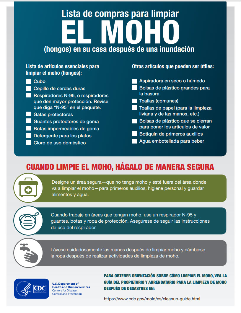 Lista de compras para la limpieza del moho después de una inundación