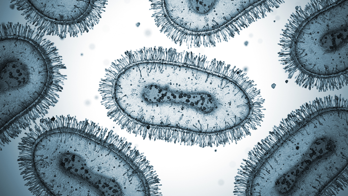 Pathogen 2 Microscopic image of a pathogen