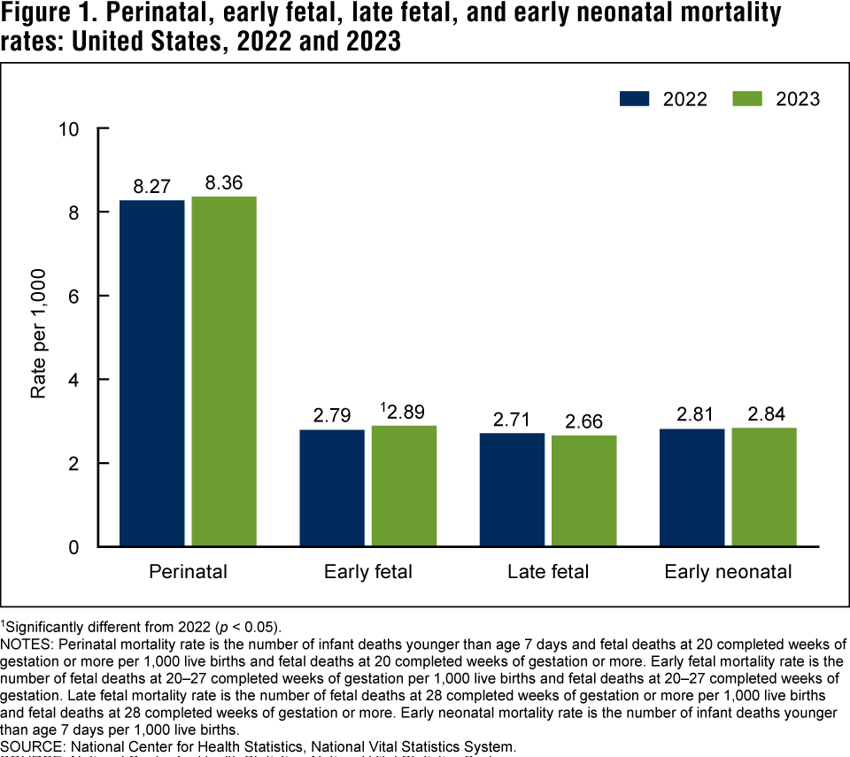 Figure 1 is a bar chart showing perinatal, early fetal, late fetal, and early neonatal mortality rates for the United States for 2022 and 2023. Figure 1 is a bar chart showing perinatal, early fetal, late fetal, and early neonatal mortality rates for the United States for 2022 and 2023.