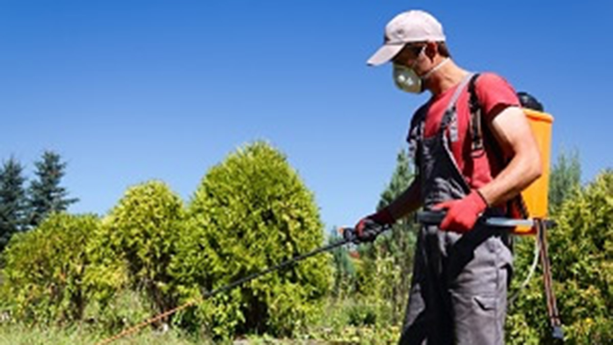 — title missing — A worker wearing PPE sprays pesticide outside.