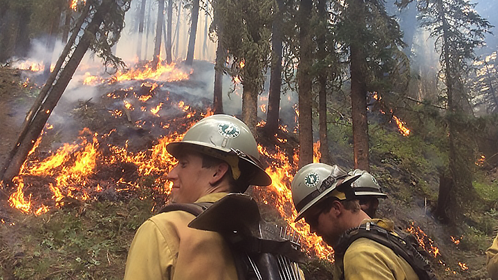 — title missing — Members of the Wyoming Wildland Firefighter Hotshot Crew monitor a prescribed burn as it makes its way down a hillside.