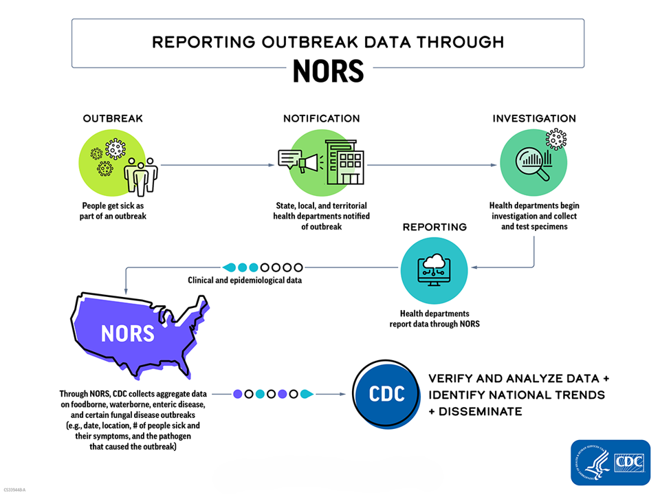NORS reporting steps: outbreak; notification; investigation; reporting; CDC collecting, verifying, and disseminating data