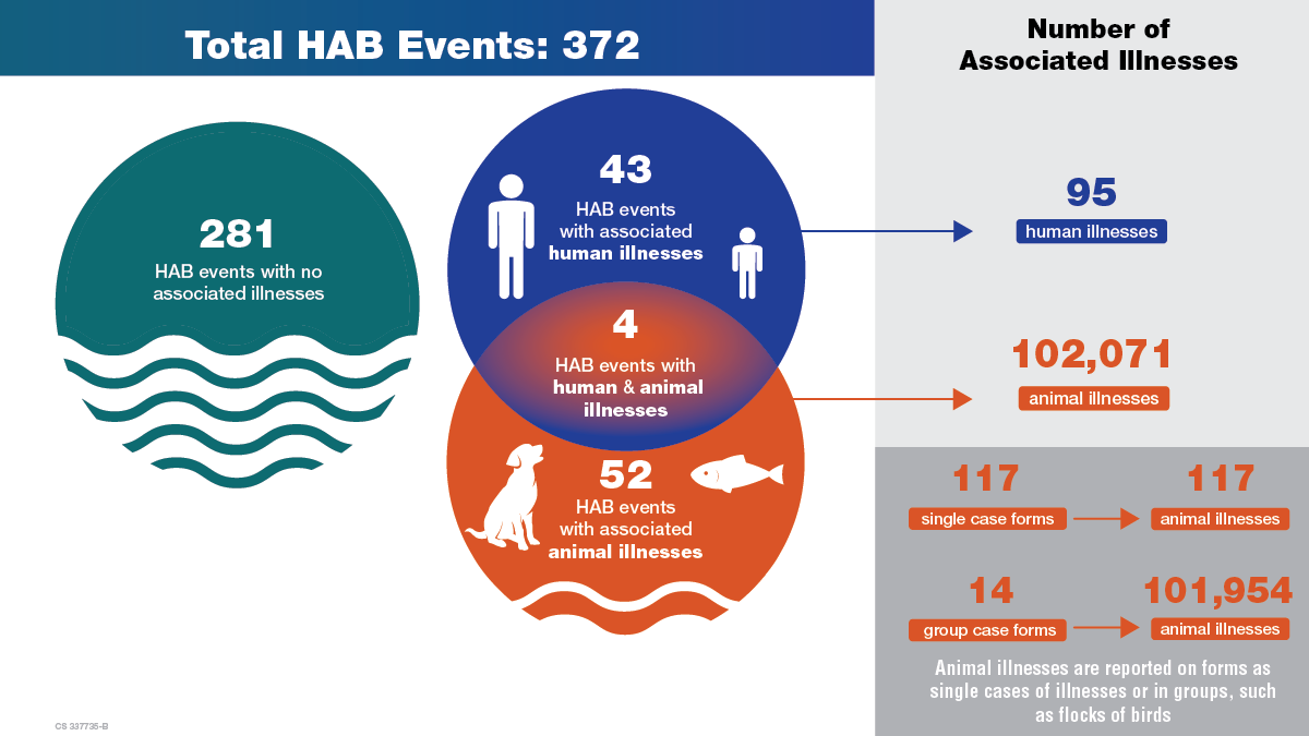Graphic showing 372 total HAB events; 281 not associated with illness; 43 associated with human illnesses; 52 associated with animal illnesses; 4 associated with both. Number of associated illnesses: 95 human, 102,071 animal