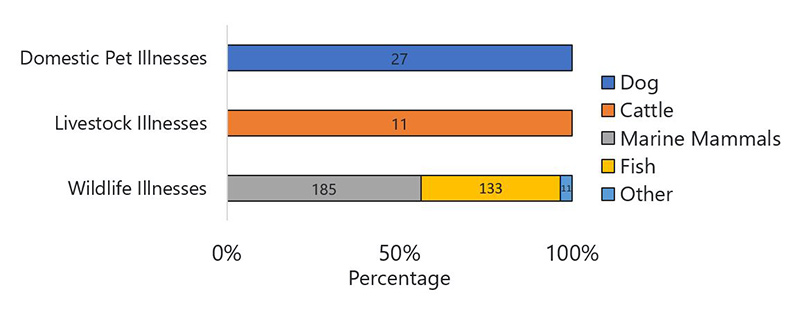 Figure 13 is a bar chart showing the types of animals that were reported ill during 2019, in the categories of domestic pets, livestock, and wildlife.