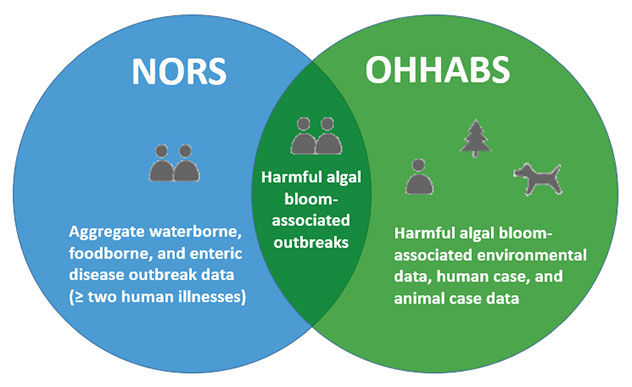 Graphic showing NORS collects aggregate waterborne, foodborne, and enteric disease outbreak data (two or more human illnesses). OHHABS collects harmful algal bloom-associated environmental data, human cases, and animal case data. Both NORS and OHHABS collect harmful algal bloom-associated outbreak data for humans.