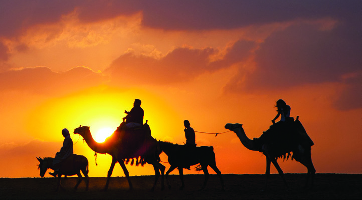 Donkey, Camel Times Two