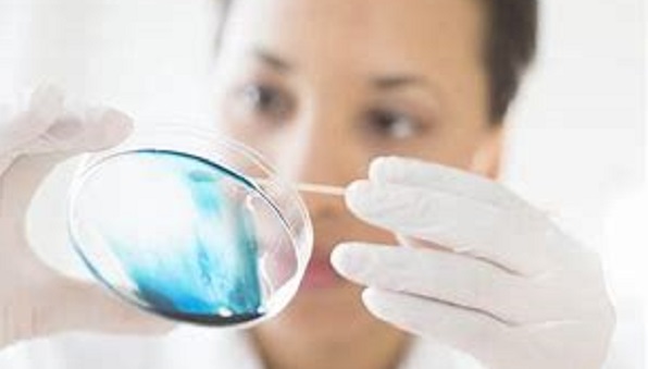 -- title missing -- lab test
