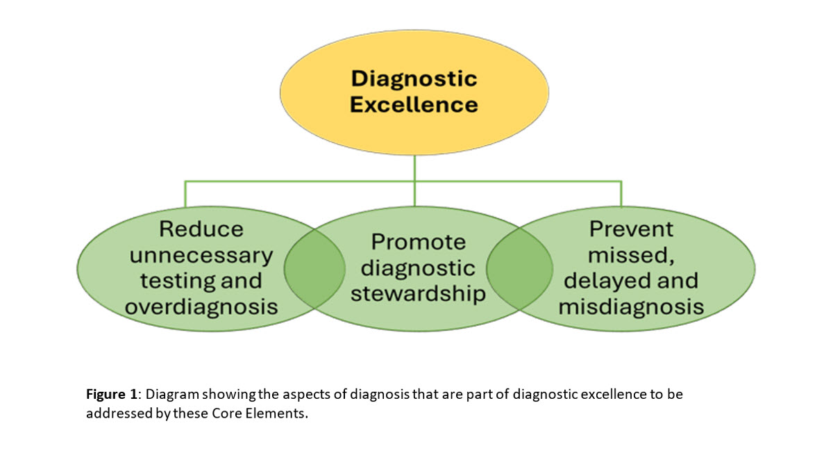 Figure 1. Diagnostic Excellence Core Elements Diagram showing the aspects of diagnosis that are part of diagnostic excellence to be addressed by these Core Elements.