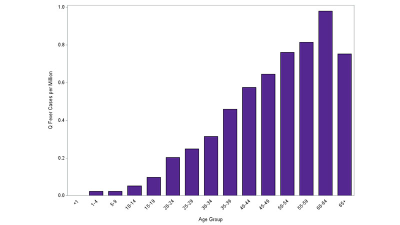 Q fever cases reported in 2019 by age group.