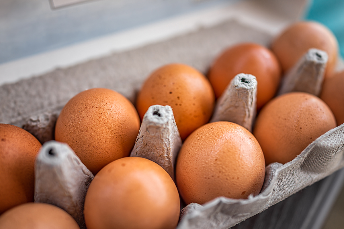Carton of eggs Carton of eggs