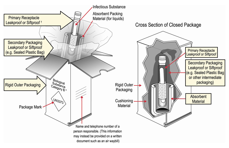 Diagram showing how to securely package Category B infectious substances for shipping