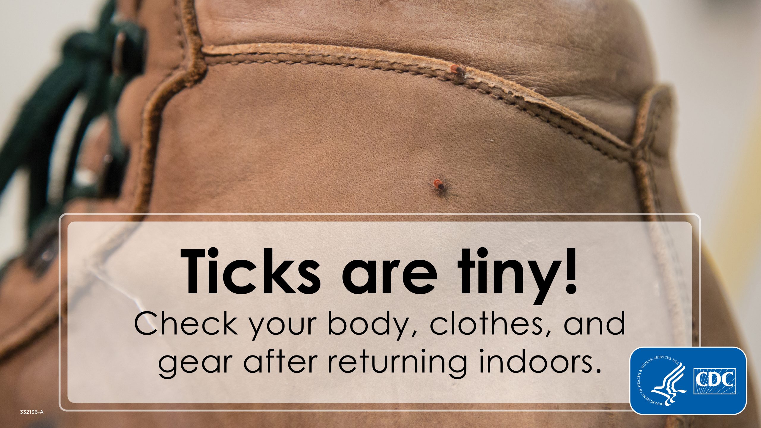 Ticks are tiny! Image of ticks on a boot.