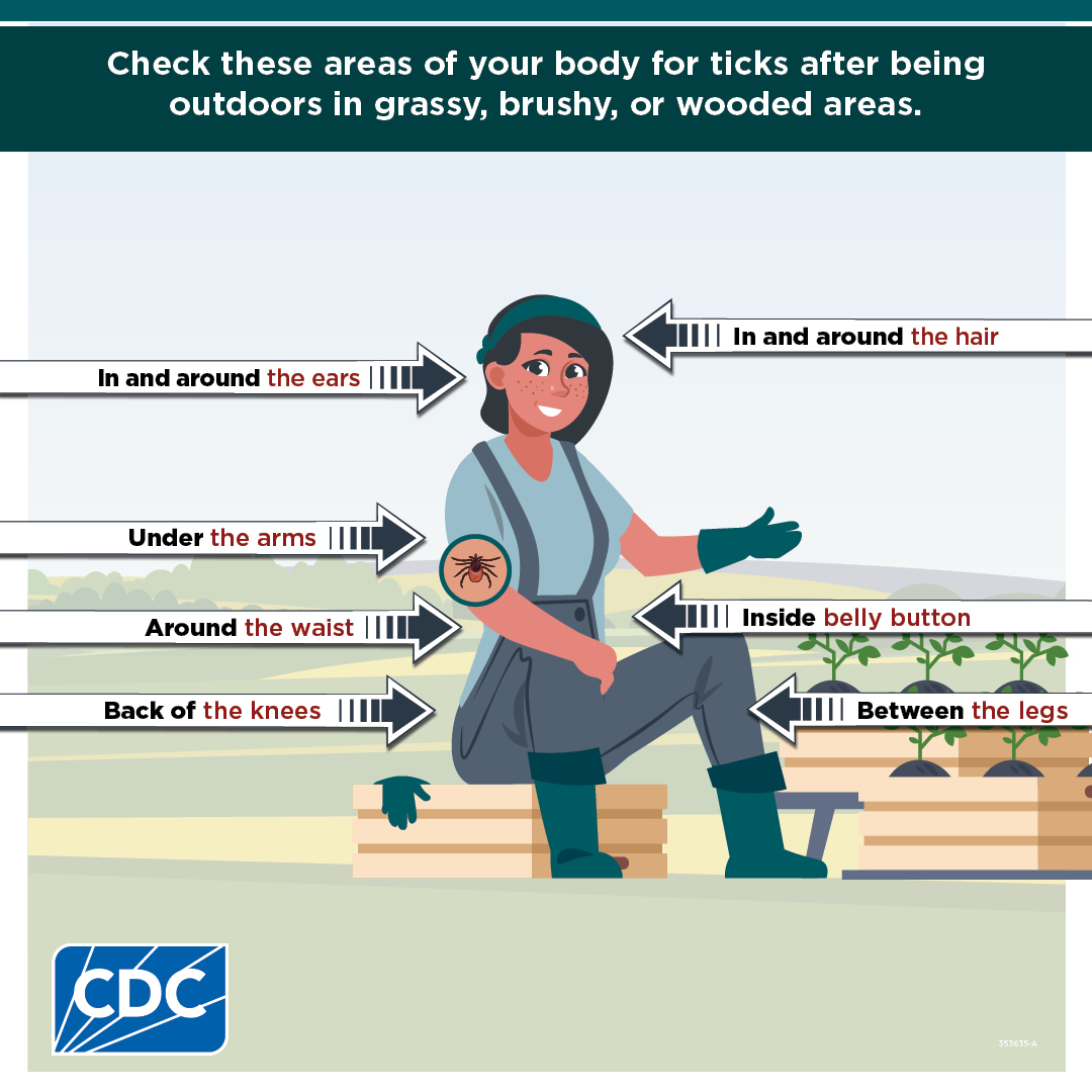 353635-A-TickBitePrevention_Edits Social media or printable graphic for outdoor workers listing where to check for ticks.