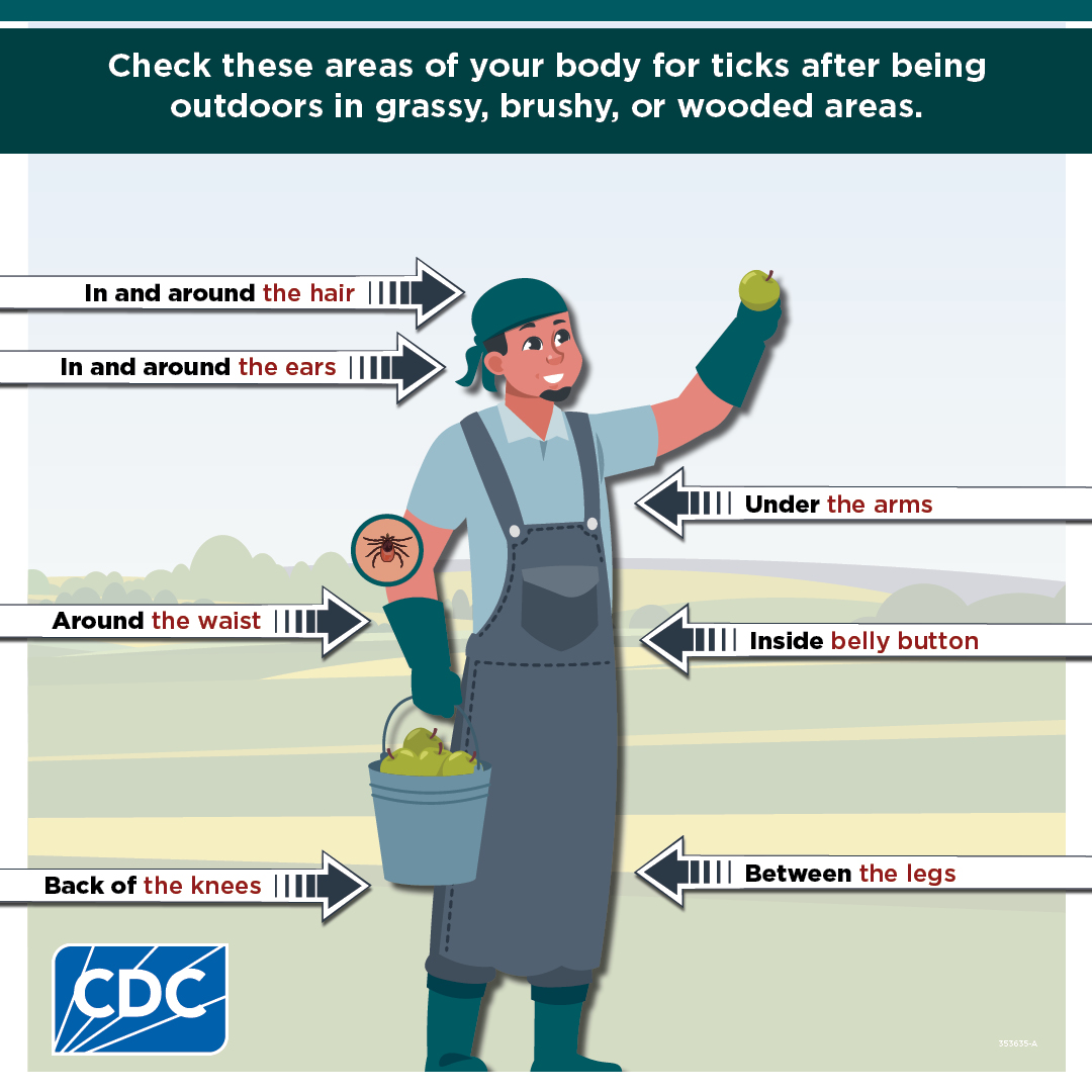 353635-A-TickBitePrevention_Edits2 Social media or printable graphic for outdoor workers listing where to check for ticks.