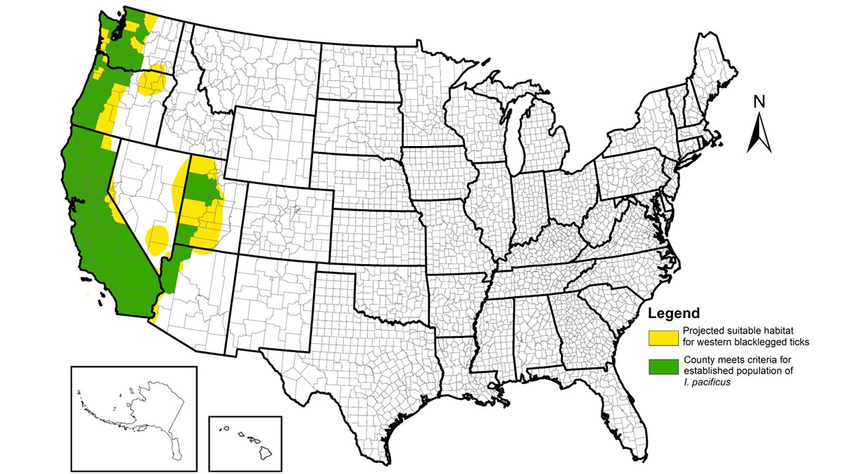 Map of the United States highlighting projected suitable habitat for Ixodes pacificus ticks and counties where these ticks are established.